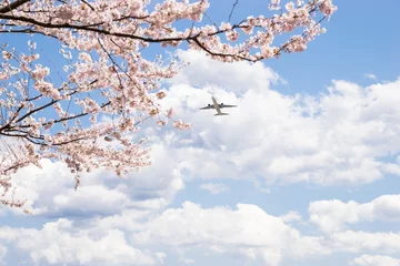Fotobehang Kersenbloesem kersenbloesems en vliegtuig