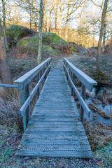 Fototapeta premium Netted wooden walk bridge over a small stream on a forest hiking trail. On a cold morning like this the net works as a safeguard against slipping on the slippery planks.