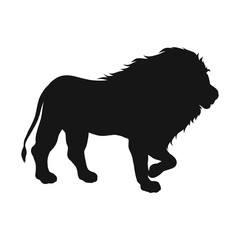 Silhouette of a walking strong lion