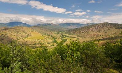 Fototapeta na wymiar Beautiful vineyards in mountains of Crimea