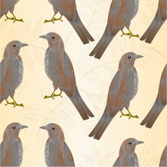 Seamless texture contour twig rowanberry with leaves and berries autumn  vintage    vector editable illustration hand draw