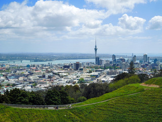 Fototapeta premium Auckland view with Sky Tower from the volcano, Volcanic crater, Mt Eden Domain, New Zealand North Island