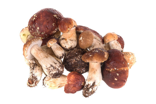 pile of cep