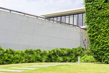 Trees for decoration place with building background.