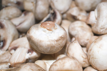 Different types of raw mushrooms - mushrooms, mushrooms Shimeji.