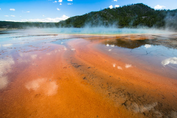 Hot springs in Yellowstone National Park USA