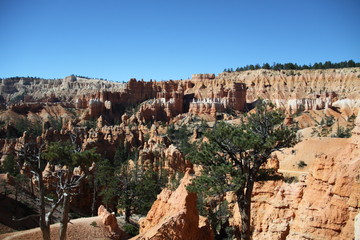 Beautiful Landscape of Bryce Canyon - Utah - USA  
