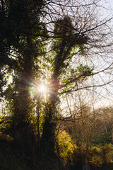 Obraz premium Typical Basque landscape between mountains