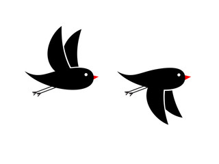 flying small black birds