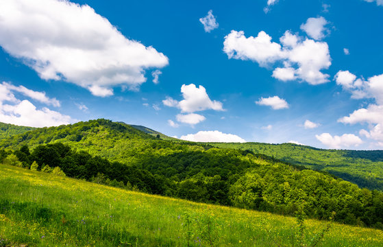 grassy fields at the foot of Pikui mountain. lovely countryside landscape on a beautiful summer day