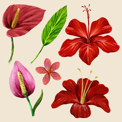 Watercolor Tropical Leaves and flower Collection on isolate vector. Beautiful Set.