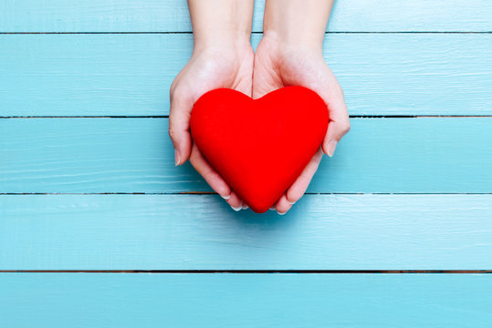 red heart in hands on a blue background
