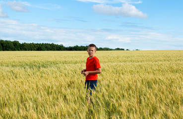 Naklejka na ściany i meble The boy walks through the field, where wheat ears grow
