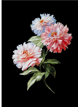 PAINTING DAHLIA