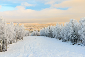 Winter landscape with a forest covered with snow. Apatity, Kola Peninsula, Murmansk region, Russia.