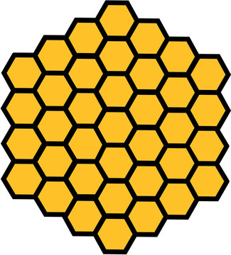 Bee honeycomb honey