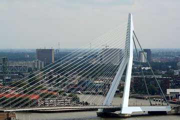 Fototapeta na wymiar bird-view over the erasmus bridge