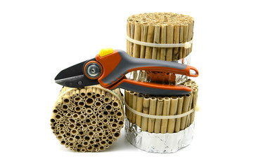 building an insect hotel with reed and bamboo sticks on white isolated background