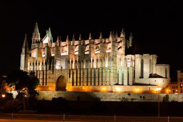 Fototapeta na wymiar Night view of Palma de Mallorca Cathedral, La Seu, from the port. Palma, Majorca, Spain