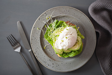 breakfast toast with avocado, poached egg and alfalfa sprouts