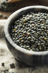 Dry Green Organic French Lentils