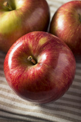 Fototapeta na wymiar Raw Red Organic Kiku Apples