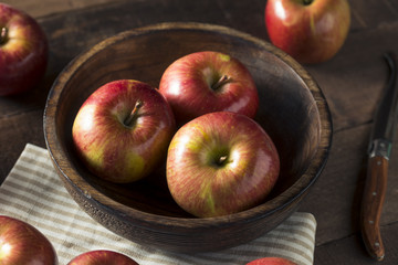 Raw Red Organic Kiku Apples