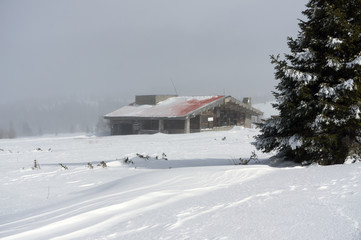 Winter mountain