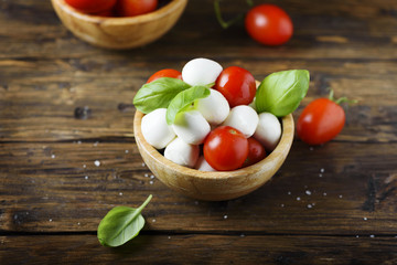 Italian antipasto with mozzarella, tomato and basil