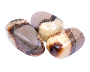 Highly polished tumbled Septarian  from India isolated on white background 