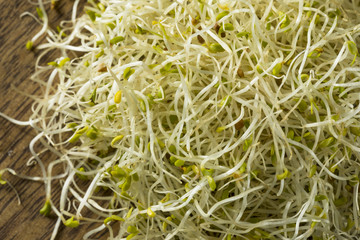 Raw Green Organic Alfalfa Sprouts