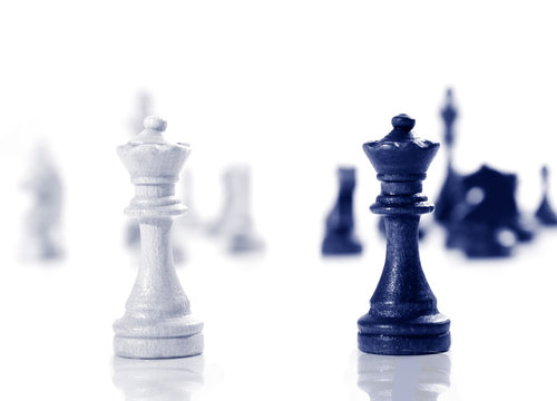 Business concept - chess - white king against black king - competition