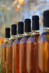 Wine bottles in a row. Cabernet Franc Rose bottles of wine rows in hungarian wine cellar © markborbely