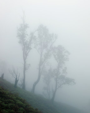 Misty landscape on volcano