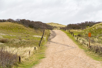 coastal dune scenery