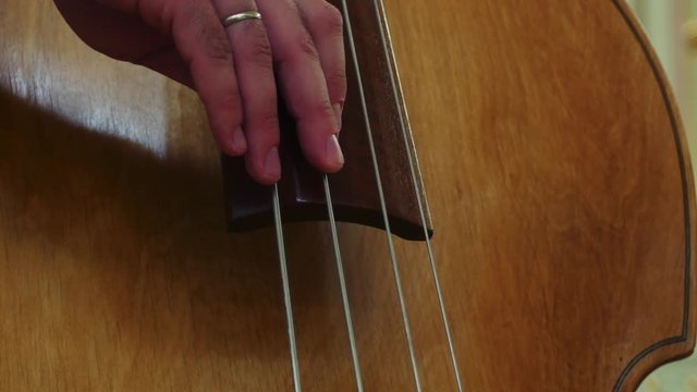 Close up of a man playing a double bass&nbsp;