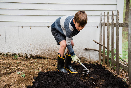 boy working on his vegetable patch