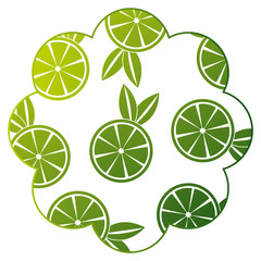 frame with oranges pattern background