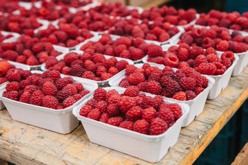 A lot of raspberries in containers on the table in a row. Useful food is rich in vitamins. Harvest.