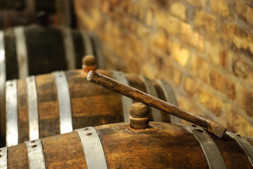 Vintage wine barrel in cellar / cellar with barrels for storage of wine
