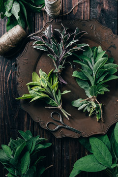 Fresh sage leaves