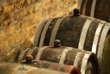 Vintage wine barrel in cellar / cellar with barrels for storage of wine