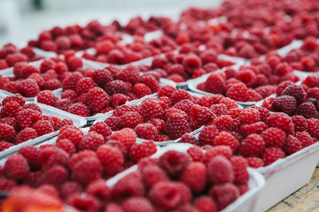 A lot of raspberries in containers on the table in a row. Useful food is rich in vitamins. Harvest.