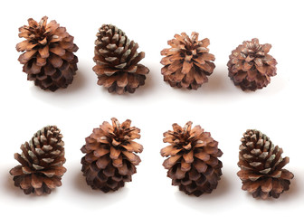 Pine cones for decoration and useful fuel in winter
