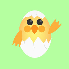 chick in egg shell