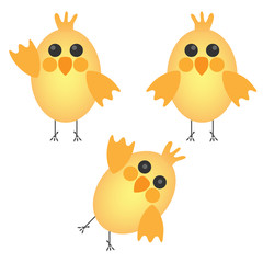 Set of cute chickens