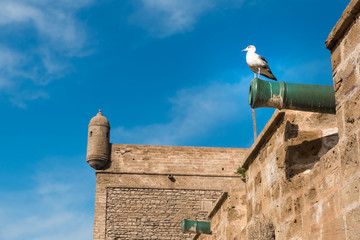 Essaouira,  formerly known as Mogador, Morocco.