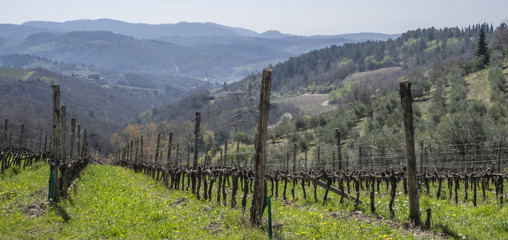 Fototapeta premium tuscany landscape Italy
