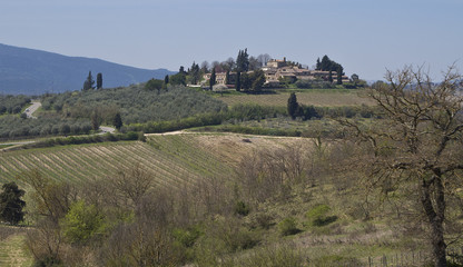 Fototapeta na wymiar tuscany landscape Italy
