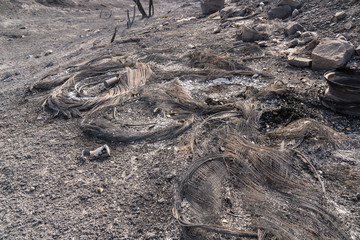 Glass and metal garbage exposed by the Thomas Fire along Highway 150 near Lake Casitas.